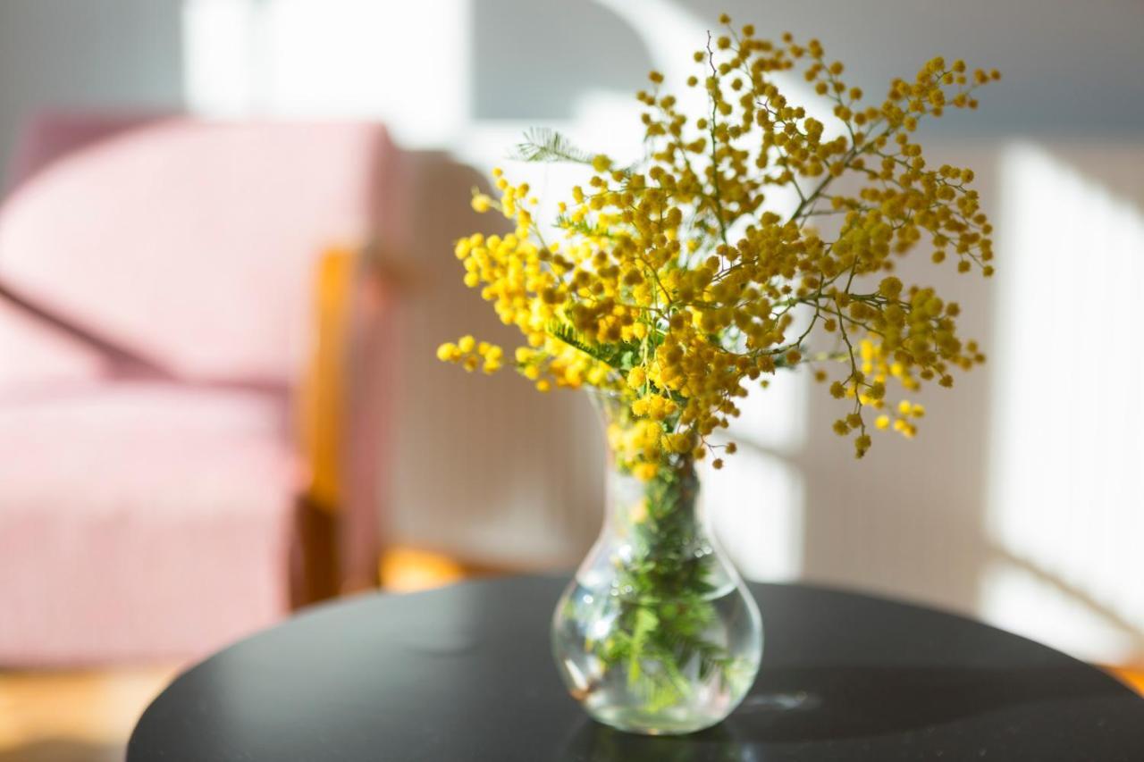 Auntie’s Home Athene Kamer foto